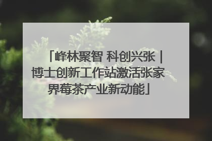 峰林聚智 科创兴张｜博士创新工作站激活张家界莓茶产业新动能